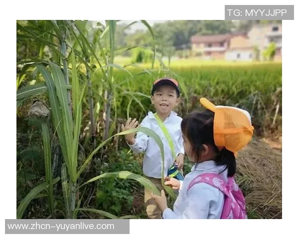 足球与山羊的奇妙结合探讨运动与自然的和谐之美
